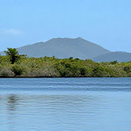 Caribbean Holidays, April Birdwatching, Quiet mangrove wetland and coastal lagoon on Saint Kitts with wading birds and distant hills