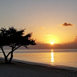 Caribbean Holidays, Aruba Adults Only, Golden sunset over Eagle Beach in Aruba with calm water, soft sand and silhouettes of divi-divi trees