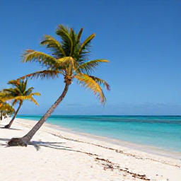Caribbean Holidays, Aruba Beach Holidays, Wide white-sand Eagle Beach in Aruba with calm turquoise water, gently leaning divi-divi trees and bright November sunshine