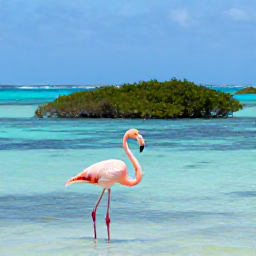 Caribbean Holidays, Aruba Birdwatching, Close view of an Aruban flamingo standing in shallow turquoise water with mangroves and a bright Caribbean horizon