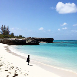 Caribbean Holidays, Aruba Birdwatching, Relaxed birdwatching beside a quiet Caribbean beach in Aruba during a warm April afternoon