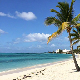 Caribbean Holidays, Aruba Business Class, Sunny Palm Beach in Aruba with turquoise water, white sand, palm trees and relaxed holiday atmosphere
