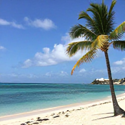 Caribbean Holidays, Aruba February Holidays, Sunny Palm Beach in Aruba with calm turquoise sea, white sand, palm trees and relaxed holiday atmosphere in February