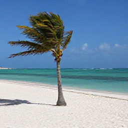 Caribbean Holidays, Aruba February Hotspots, White Divi Divi trees bending in the trade wind beside Eagle Beach in Aruba, with powdery sand and calm turquoise sea