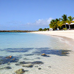 Caribbean Holidays, Aruba in January, A calm Aruba beach in January with snorkellers in clear shallow water, coral reefs, tropical fish and gently swaying palms