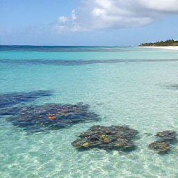 Caribbean Holidays, Aruba in September, Calm Aruba coastline with snorkellers viewing colourful fish and coral in clear shallow water near a sandy beach