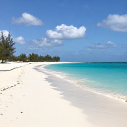 Caribbean Holidays, Aruba in September, Quiet Caribbean beach in Aruba during September, with turquoise water, pale sand and scattered divi-divi trees under a sunny sky
