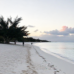 Caribbean Holidays, Aruba Instagram Hotspots, A wide-angle photograph of Eagle Beach in Aruba at sunrise, with white sand, calm turquoise water, divi-divi trees and a few visitors taking photos
