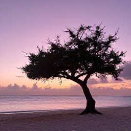 Caribbean Holidays, Aruba Instagram Hotspots, Aruba sunset at Eagle Beach with the famous fofoti tree silhouette, pastel sky, white sand and calm sea