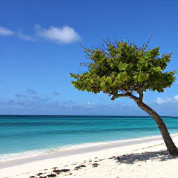 Caribbean Holidays, Aruba Instagram Hotspots, Vibrant turquoise water and white sand at Eagle Beach in Aruba, with a lone fofoti tree and a bright blue sky