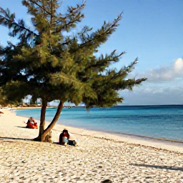 Caribbean Holidays, Aruba Instagram Spots, A bright December morning at Eagle Beach in Aruba, with white sand, calm turquoise water, iconic fofoti trees and a few visitors taking photographs
