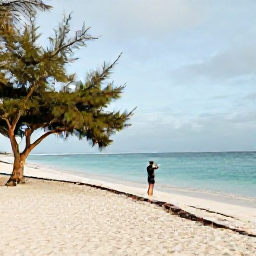Caribbean Holidays, Aruba Instagram Spots, A bright January morning at Eagle Beach in Aruba, with soft white sand, calm turquoise water, iconic fofoti trees and a traveller taking a beach photograph