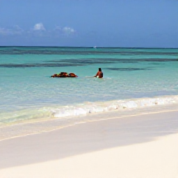 Caribbean Holidays, Aruba Nature Holidays, A peaceful Aruba beach with pale sand, clear shallow water and a snorkeller viewing colourful fish near the reef