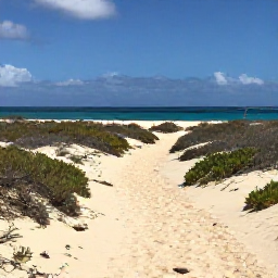 Caribbean Holidays, Aruba Walking Holidays, A sunny coastal walking trail in Aruba with pale sand, turquoise sea and low desert vegetation in May