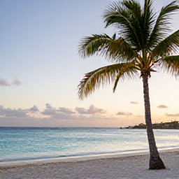 Caribbean Holidays, Aruba Wellness November, Quiet white-sand beach in Aruba at sunrise, calm turquoise sea, palm trees and a relaxed holiday atmosphere