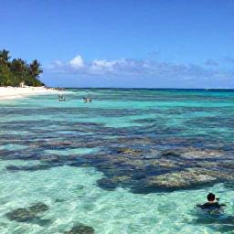Caribbean Holidays, August Adventures, Visitors snorkelling in clear shallow water above a colourful reef beside a sandy Saint Barth&eacute;lemy beach