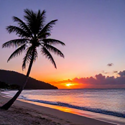 Caribbean Holidays, August Holidays, Colourful Caribbean sunset over a quiet British Virgin Islands beach with palm silhouettes and gentle waves
