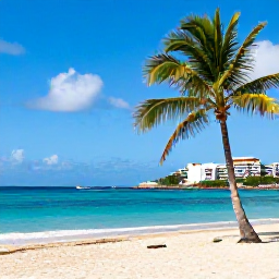 Caribbean Holidays, August Holidays, Sunny Caribbean beach on Saint Martin in August, turquoise sea, palm trees and relaxed holiday atmosphere