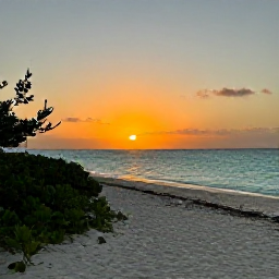 Caribbean Holidays, August Nature Holidays, A peaceful sunset over the turquoise sea from a quiet Turks and Caicos beach, with silhouettes of low vegetation and a relaxed holiday atmosphere