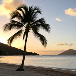 Caribbean Holidays, August Nature Holidays, A relaxed Caribbean evening on a United States Virgin Islands beach, with palm trees, calm sea and warm sunset light