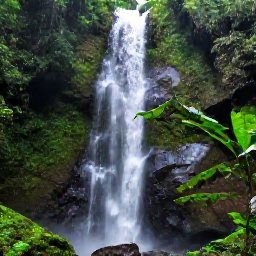 Caribbean Holidays, August Nature Holidays, Rainforest waterfall and hiking trail in the Main Ridge Forest Reserve, Tobago, after a light tropical shower