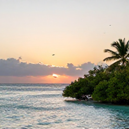 Caribbean Holidays, Bahamas Birdwatching, Peaceful Bahamian coastline at sunset with mangroves, calm turquoise sea and distant seabirds