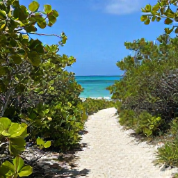 Caribbean Holidays, Bahamas Birdwatching, Peaceful Bahamian island nature trail leading through low woodland towards a turquoise sea