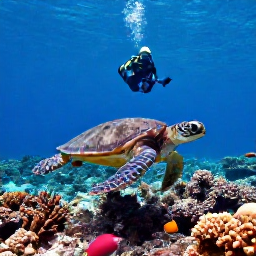 Caribbean Holidays, Bahamas Diving November, Sea turtle swimming above a Bahamian coral reef with tropical fish and a scuba diver in the background