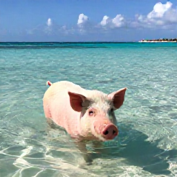 Caribbean Holidays, Bahamas Instagram Hotspots, Friendly swimming pigs wading through shallow turquoise water at Big Major Cay in The Bahamas