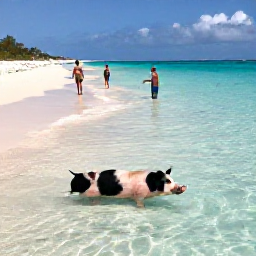 Caribbean Holidays, Bahamas Instagram Hotspots, Visitors swimming with friendly pigs in clear shallow water at Pig Beach in the Exumas, with white sand and turquoise sea