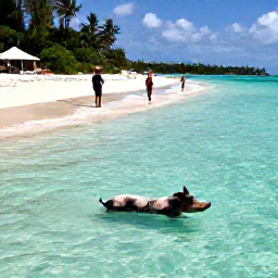 Caribbean Holidays, Bahamas Instagram Hotspots, Visitors swimming with friendly pigs in shallow turquoise water beside a sandy beach in The Bahamas