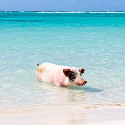 Caribbean Holidays, Bahamas Instagram Spots, Clear shallow Bahamian sea with a friendly swimming pig near a sandy beach, natural daylight and turquoise water