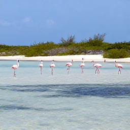 Caribbean Holidays, Bahamas Nature Holidays, Wild flamingos feeding in shallow water on a remote Bahamian island with low scrub and blue sky