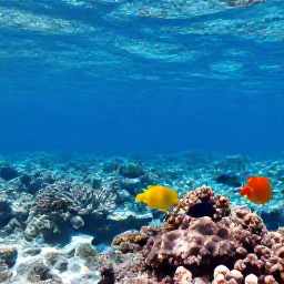 Caribbean Holidays, Bahamas September, Snorkeller observing colourful fish and coral in clear Bahamian water near a sunlit reef