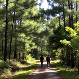 Caribbean Holidays, Bahamas Walking Holidays, A nature guide leading visitors along a shaded path through Bahamian pine forest, with sunlight filtering through the trees