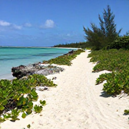 Caribbean Holidays, Bahamas Walking Holidays, A relaxed coastal walking trail beside clear turquoise water, white sand and low green vegetation in The Bahamas