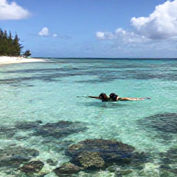 Caribbean Holidays, Barbados Backpacking, Backpacker snorkelling in clear shallow water beside a quiet Barbados beach, with coral and colourful fish