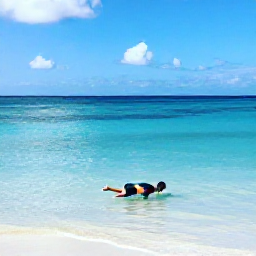 Caribbean Holidays, Barbados Backpacking, Traveller swimming at Carlisle Bay with sea turtles, calm blue water and a sandy beach in Barbados