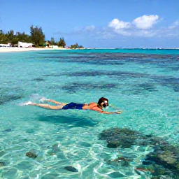 Caribbean Holidays, Barbados Beach Holidays, Visitors snorkelling in clear Barbados water near a reef, with tropical fish and a sunny sandy beach in the background