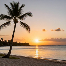 Caribbean Holidays, Barbados Business Class, Golden sunset over Carlisle Bay in Barbados with palm trees, calm sea and a relaxed beach atmosphere