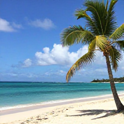 Caribbean Holidays, Barbados Cooking Holidays, A sunny Barbados beach in February with turquoise water, palm trees and a relaxed Caribbean atmosphere