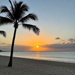 Caribbean Holidays, Barbados in October, A relaxed Barbados sunset over the sea, with a quiet sandy beach, palm silhouettes and warm evening light