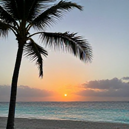 Caribbean Holidays, Barbados July Holidays, Relaxed Barbados beach holiday scene in July with palm trees, warm turquoise sea and a quiet sunset