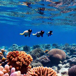 Caribbean Holidays, Bermuda Adults Only, Snorkellers viewing colourful fish above a coral reef in clear Bermuda water on a sunny June day