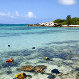 Caribbean Holidays, Bermuda Beach Holidays, Snorkellers exploring clear shallow water near Bermuda, with colourful fish, coral and a rocky shoreline in the background