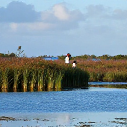 Caribbean Holidays, Bermuda Birdwatching, A quiet Bermuda wetland at sunrise in January, with birdwatchers using binoculars beside reeds and calm blue water