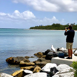 Caribbean Holidays, Bermuda Birdwatching, Bermuda coastline in January with rocky shore, calm blue water, sea birds and a birder scanning the horizon from a scenic viewpoint