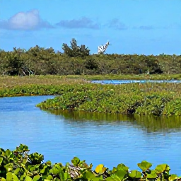 Caribbean Holidays, Bermuda Nature Holidays, Bermuda wetland reserve with lush vegetation, still water and native birds in September