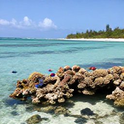 Caribbean Holidays, Bermuda Nature Holidays, Snorkellers observing colourful fish above a coral reef in clear shallow Bermuda water near a sandy beach