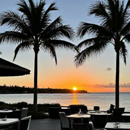Caribbean Holidays, Bermuda November Holidays, A peaceful Bermuda sunset viewed from a waterfront restaurant, with palm trees, calm sea and warm evening light